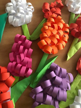 28741109_10211470417420244_1781931256_n